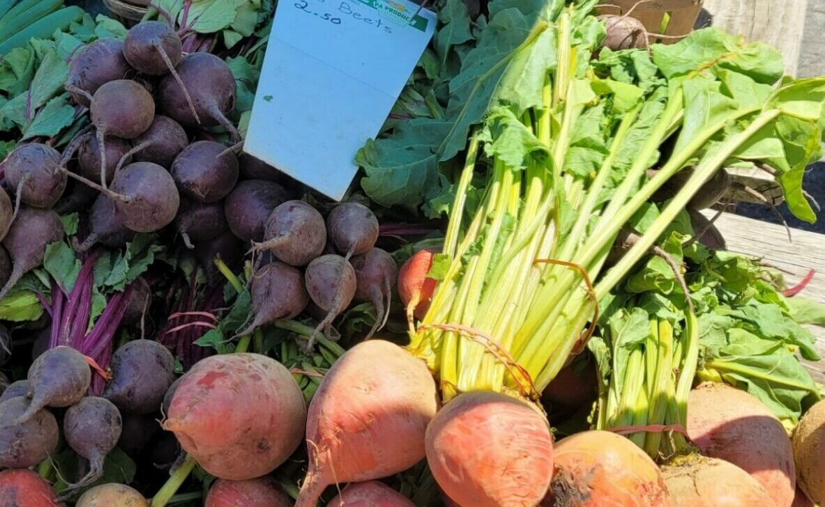 Visitors and locals embrace the freshness of a Farmers Market with an Amish Culture