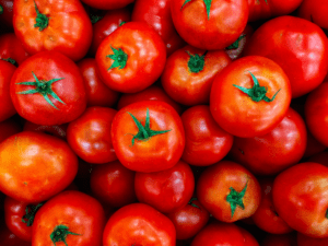 image of a group of tomatoes